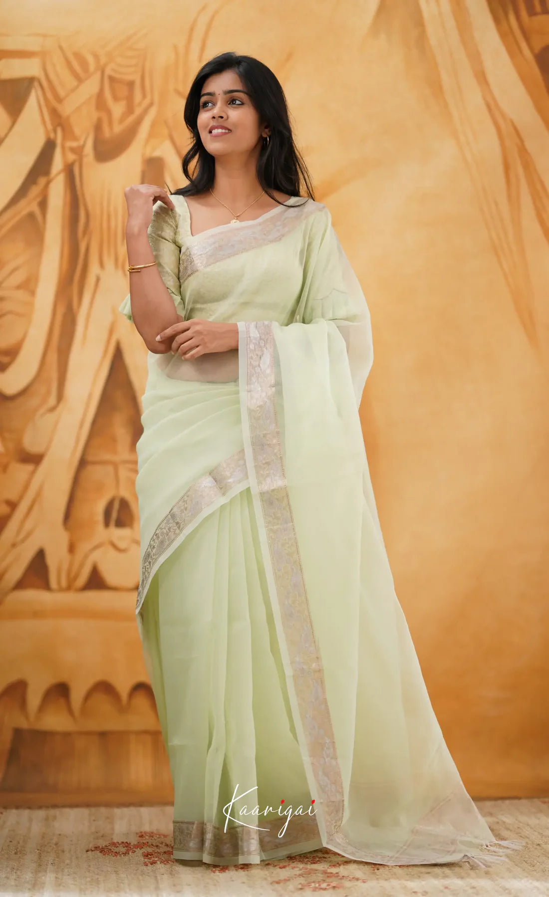 Pastel Organza Saree