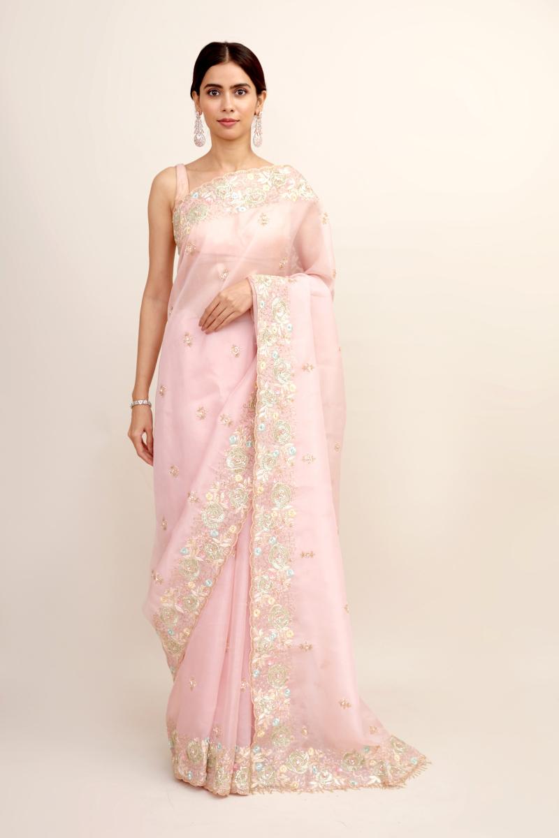 Pastel Organza Saree